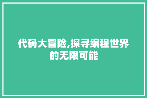 代码大冒险,探寻编程世界的无限可能