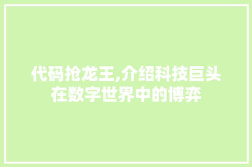 代码抢龙王,介绍科技巨头在数字世界中的博弈