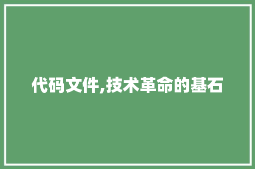 代码文件,技术革命的基石