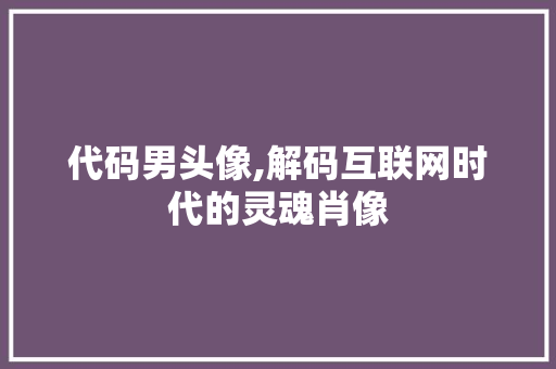 代码男头像,解码互联网时代的灵魂肖像