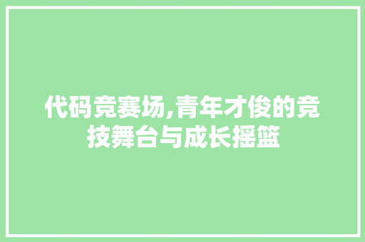 代码竞赛场,青年才俊的竞技舞台与成长摇篮