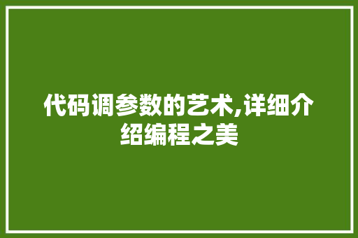 代码调参数的艺术,详细介绍编程之美