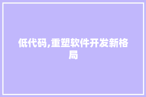 低代码,重塑软件开发新格局