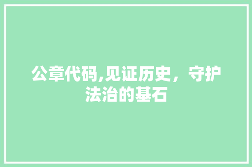 公章代码,见证历史，守护法治的基石