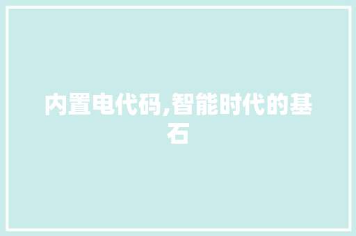 内置电代码,智能时代的基石