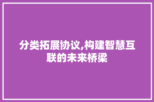分类拓展协议,构建智慧互联的未来桥梁