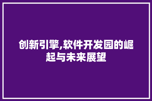 创新引擎,软件开发园的崛起与未来展望