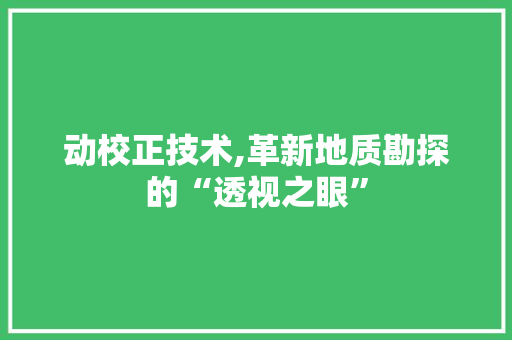 动校正技术,革新地质勘探的“透视之眼”