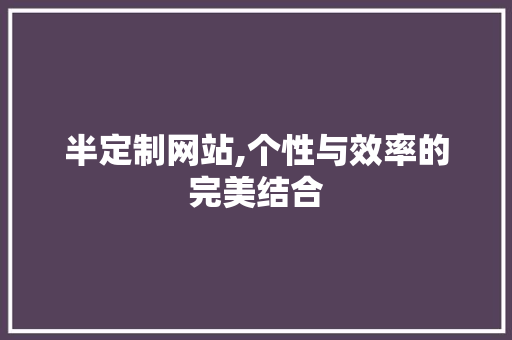 半定制网站,个性与效率的完美结合
