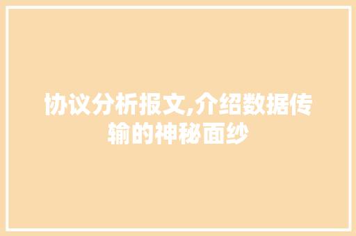 协议分析报文,介绍数据传输的神秘面纱