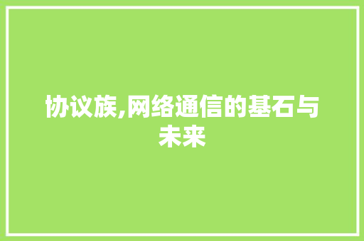 协议族,网络通信的基石与未来