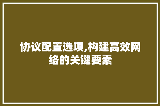 协议配置选项,构建高效网络的关键要素