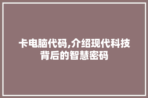 卡电脑代码,介绍现代科技背后的智慧密码