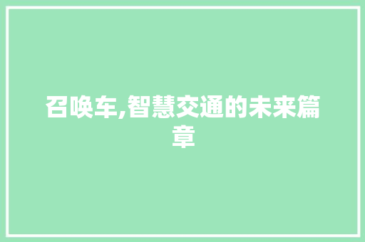 召唤车,智慧交通的未来篇章