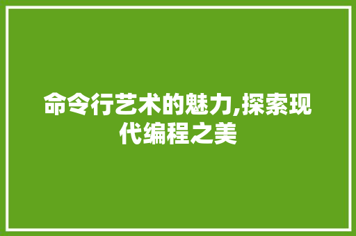 命令行艺术的魅力,探索现代编程之美