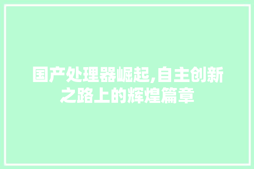 国产处理器崛起,自主创新之路上的辉煌篇章