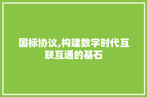 国标协议,构建数字时代互联互通的基石
