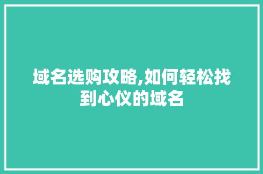 域名选购攻略,如何轻松找到心仪的域名