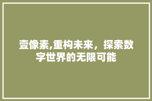 壹像素,重构未来，探索数字世界的无限可能