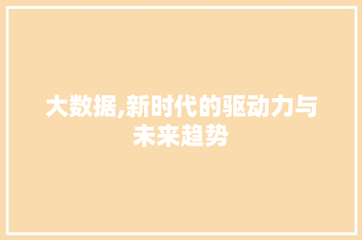大数据,新时代的驱动力与未来趋势