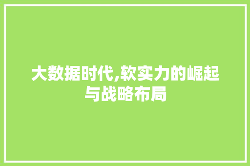 大数据时代,软实力的崛起与战略布局