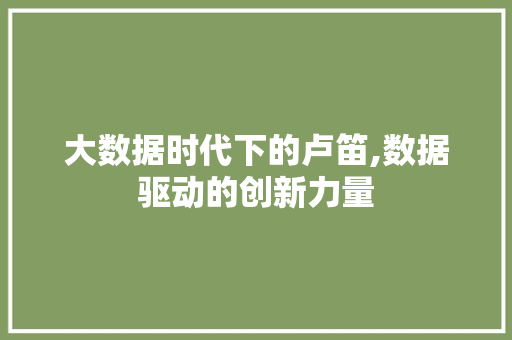大数据时代下的卢笛,数据驱动的创新力量