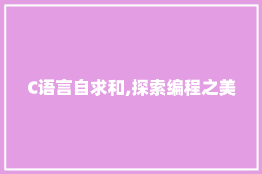 C语言自求和,探索编程之美
