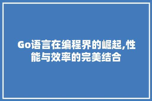 Go语言在编程界的崛起,性能与效率的完美结合