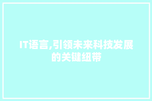 IT语言,引领未来科技发展的关键纽带