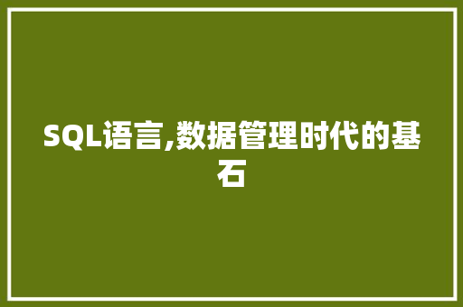 SQL语言,数据管理时代的基石