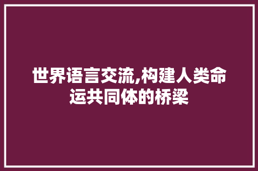 世界语言交流,构建人类命运共同体的桥梁