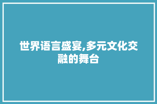 世界语言盛宴,多元文化交融的舞台