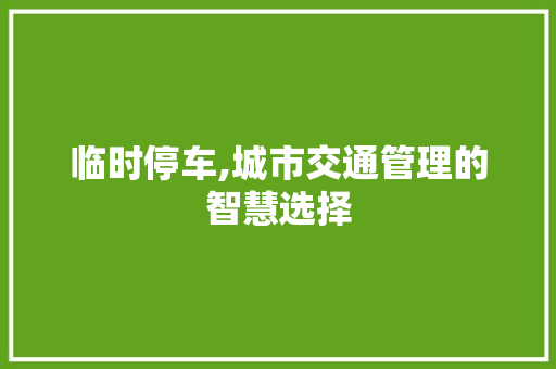 临时停车,城市交通管理的智慧选择