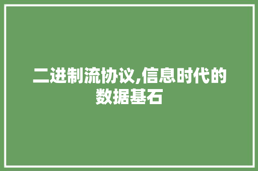 二进制流协议,信息时代的数据基石