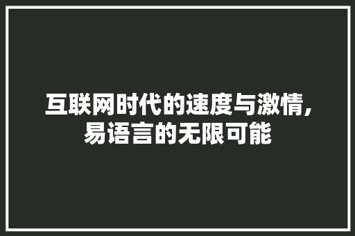 互联网时代的速度与激情,易语言的无限可能