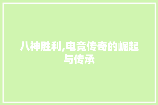 八神胜利,电竞传奇的崛起与传承