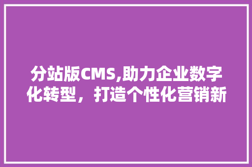分站版CMS,助力企业数字化转型，打造个性化营销新生态