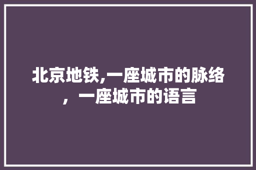 北京地铁,一座城市的脉络，一座城市的语言