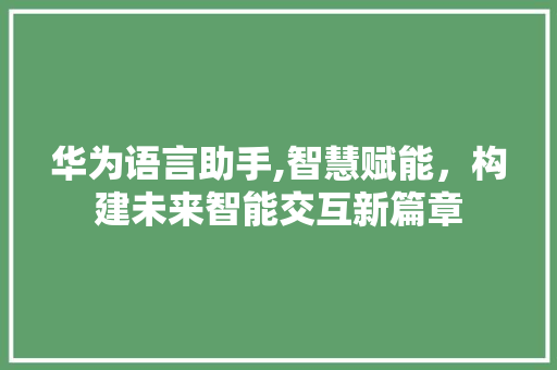 华为语言助手,智慧赋能，构建未来智能交互新篇章