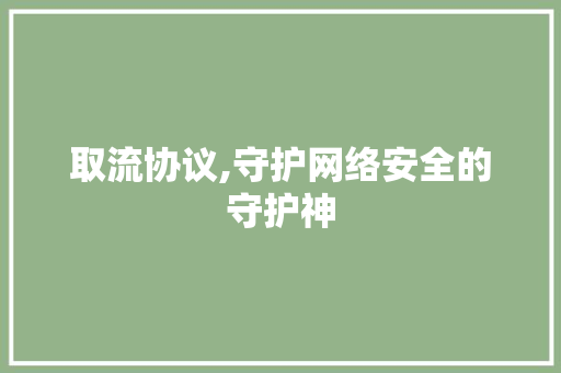 取流协议,守护网络安全的守护神