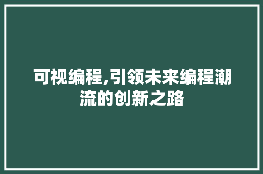 可视编程,引领未来编程潮流的创新之路