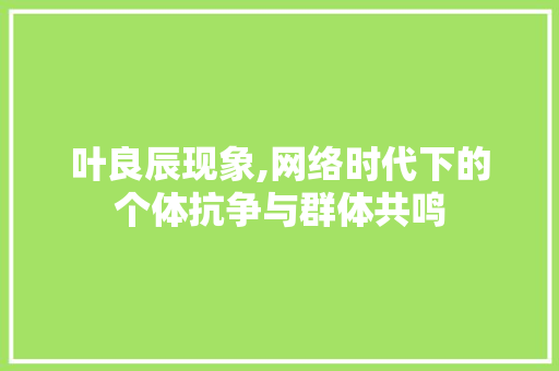 叶良辰现象,网络时代下的个体抗争与群体共鸣