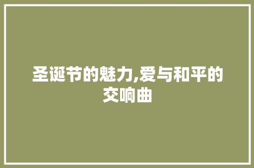 圣诞节的魅力,爱与和平的交响曲
