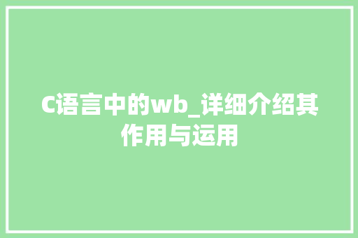 C语言中的wb_详细介绍其作用与运用