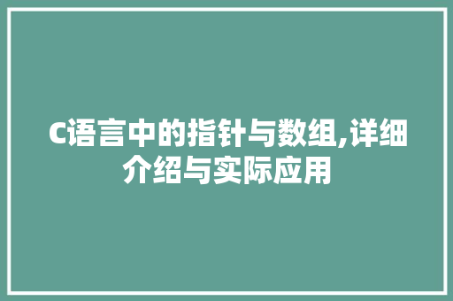 C语言中的指针与数组,详细介绍与实际应用