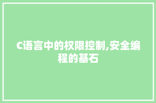 C语言中的权限控制,安全编程的基石