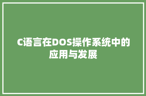 C语言在DOS操作系统中的应用与发展
