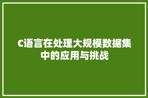 C语言在处理大规模数据集中的应用与挑战