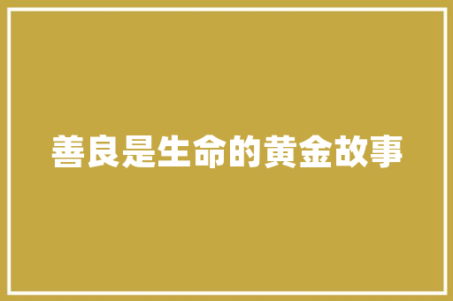C语言大题库,编程之路上的得力助手