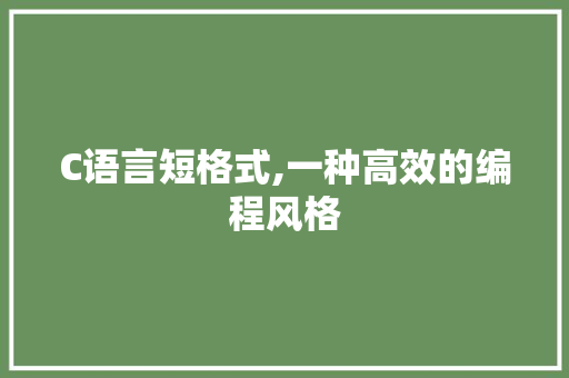 C语言短格式,一种高效的编程风格